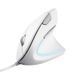Мышь Trust Verto Ergonomic, USB-A, белый 25133_TRUST фото 1