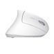 Миша Trust Verto Ergonomic, WL, білий 25132_TRUST фото 4
