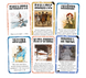 Бэнг! Набор дополнений (BANG! Expansion Pack) - 1 ТК (8 шт) GKCH0261 фото 4