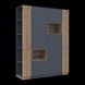 Шкаф для одежды с нишей и этажеркой Doros Дэйл Графит Дуб Эвок (42005154) 42005154 фото 2
