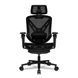 Кресло для геймеров Cougar Speeder Black 1607053 фото 1