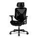 Кресло для геймеров Cougar Speeder Black 1607053 фото 4